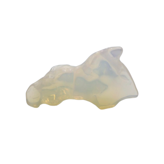 Shark Tooth Opal